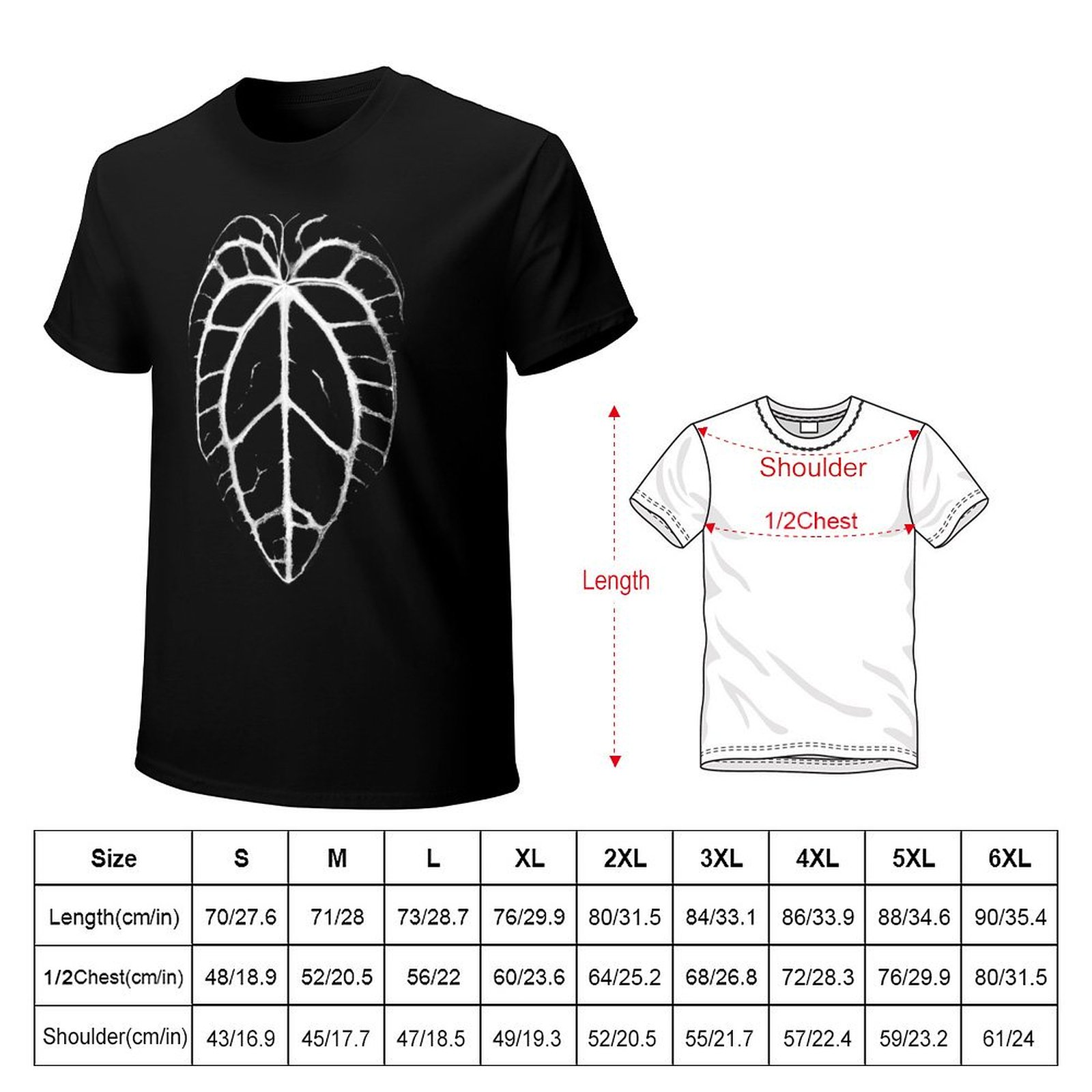 ANTHURIUM CRYSTALLINUM VEINS T - Anthurium Crystallinum avis et prix