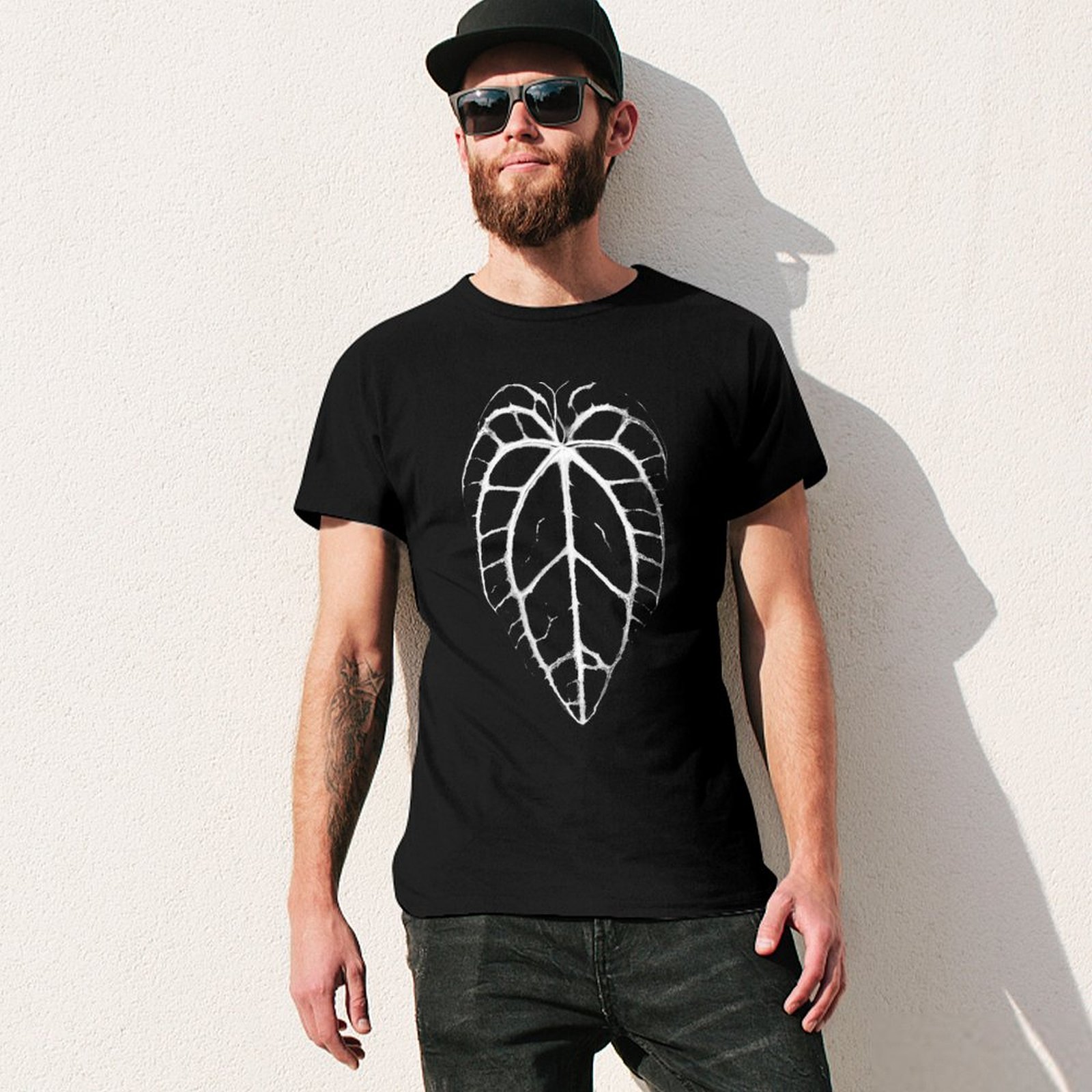 ANTHURIUM CRYSTALLINUM VEINS T - Anthurium Crystallinum avis et prix