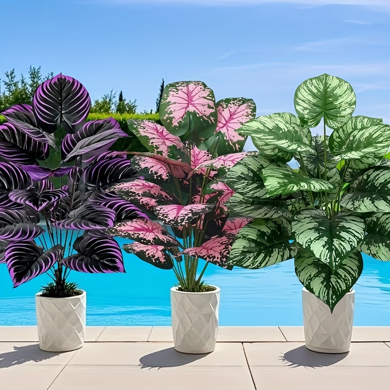 Grand ensemble de plantes vert - Fiddle Leaf Fig avis et prix