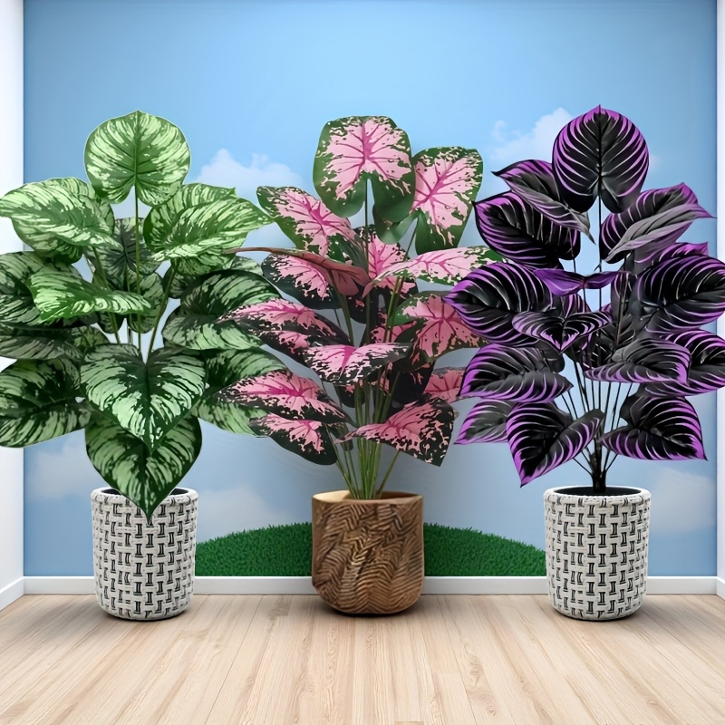 Grand ensemble de plantes vert - Fiddle Leaf Fig avis et prix