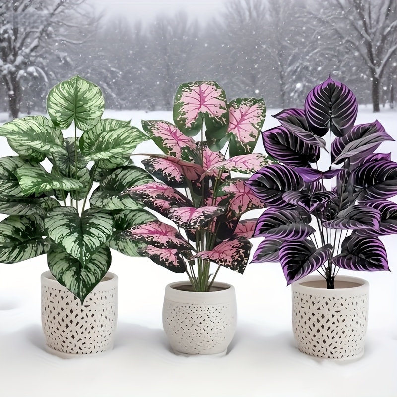 Grand ensemble de plantes vert - Fiddle Leaf Fig avis et prix