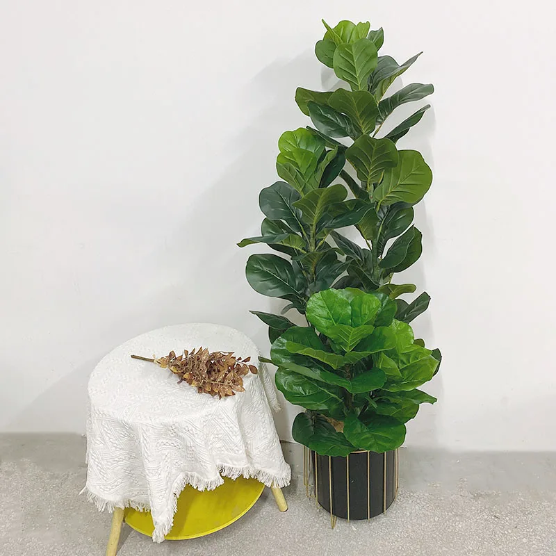 Grand Ficus Lyrata artificiel  - Fiddle Leaf Fig avis et prix