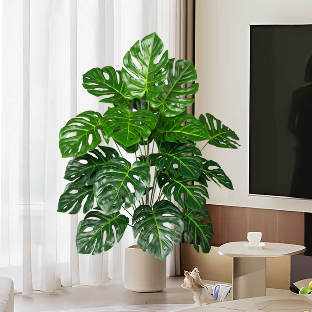 Palmier Monstera Él70-100cm, f - Fiddle Leaf Fig avis et prix
