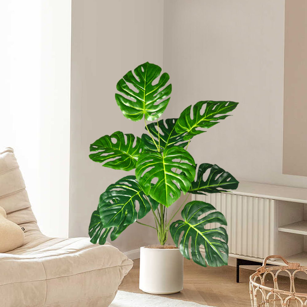 Palmier Monstera Él70-100cm, f - Fiddle Leaf Fig avis et prix