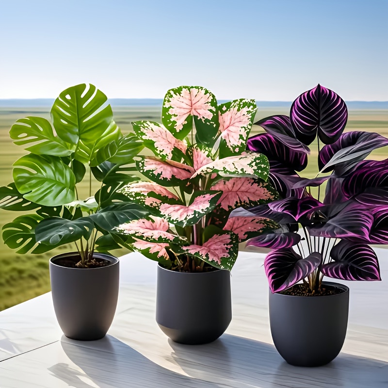 Ensemble de 3 plantes artifici - Fiddle Leaf Fig avis et prix