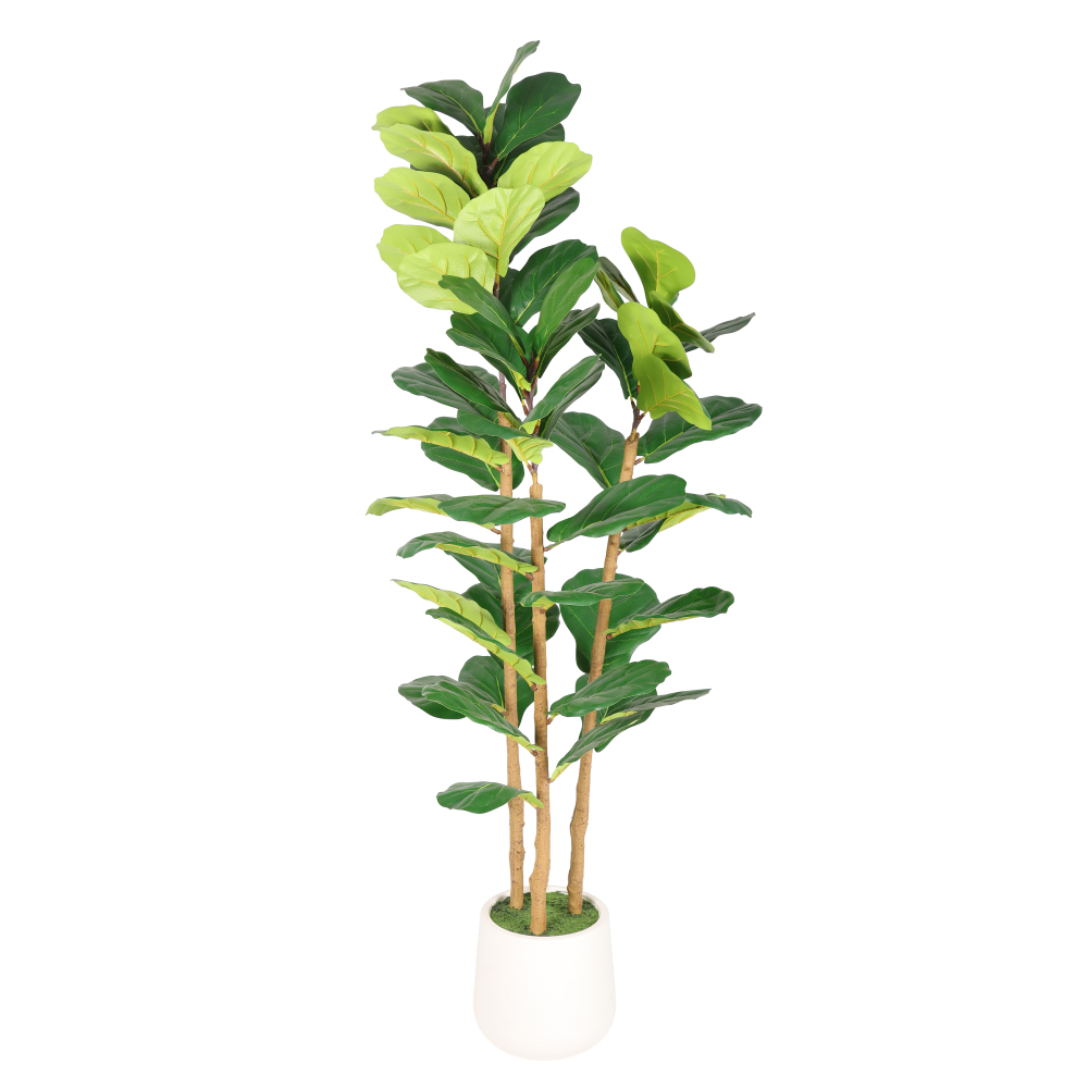 Ficus Lyrata Artificiel de 1,6 - Fiddle Leaf Fig avis et prix